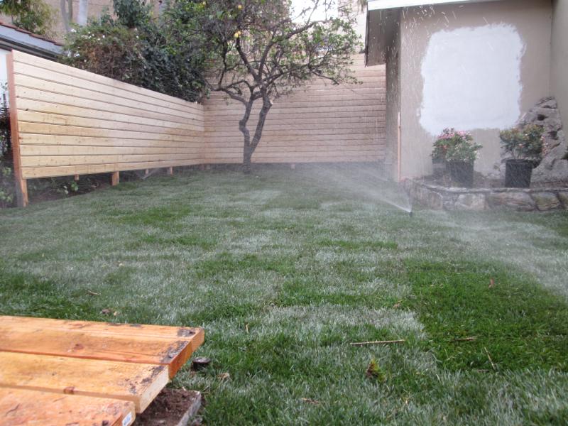 Picture 1